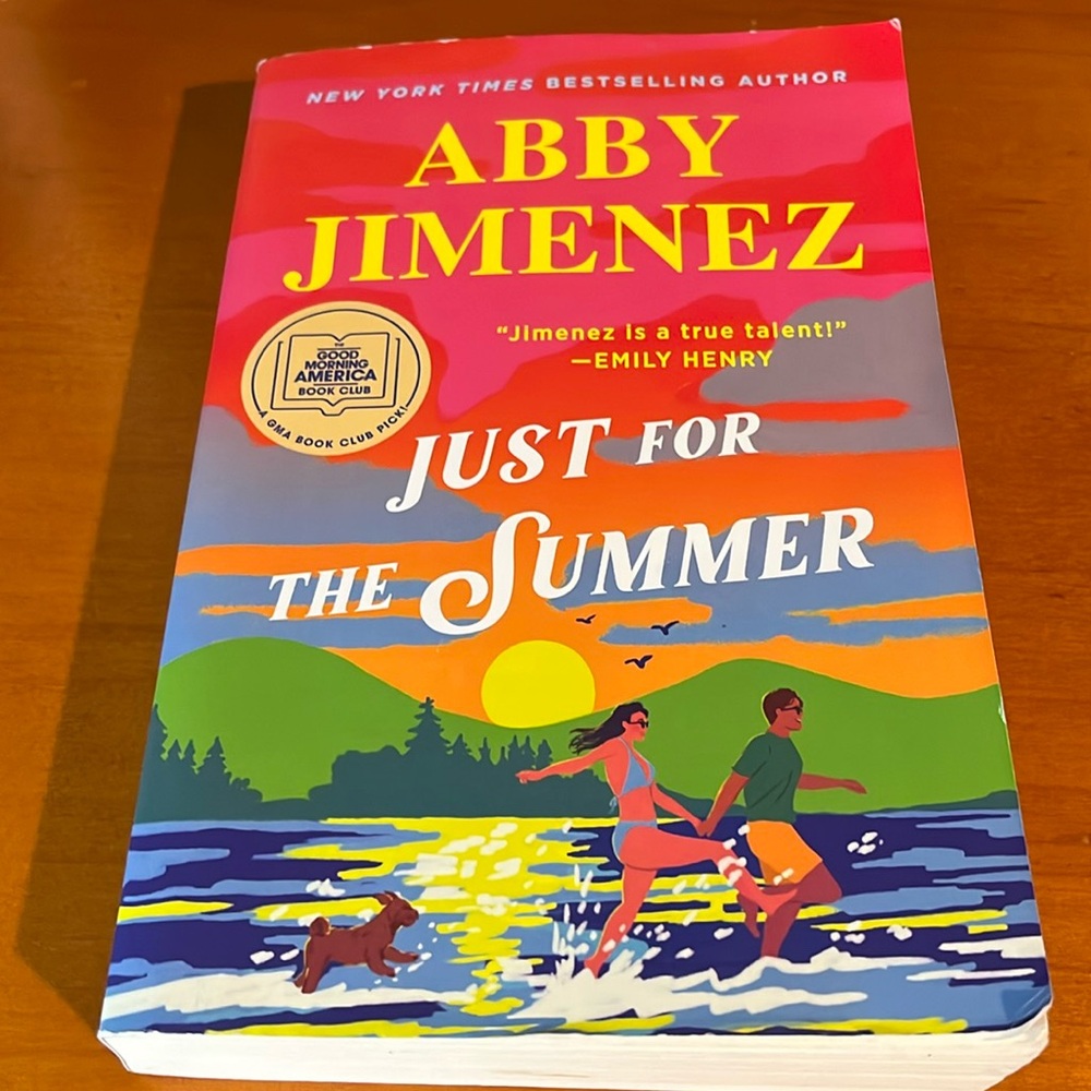 Just for the Summer Novel